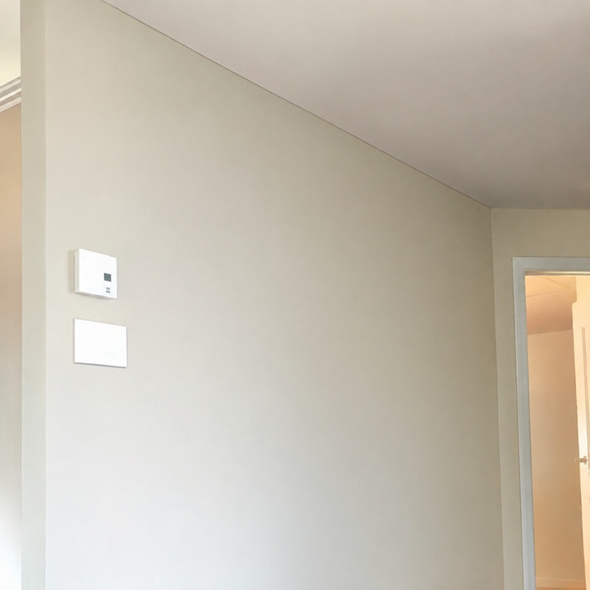 Avant — mur d'accent en peinture beige unie, avant l'application de la chaux